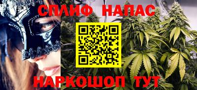 шишки Будённовск