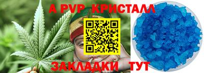 шишки Будённовск