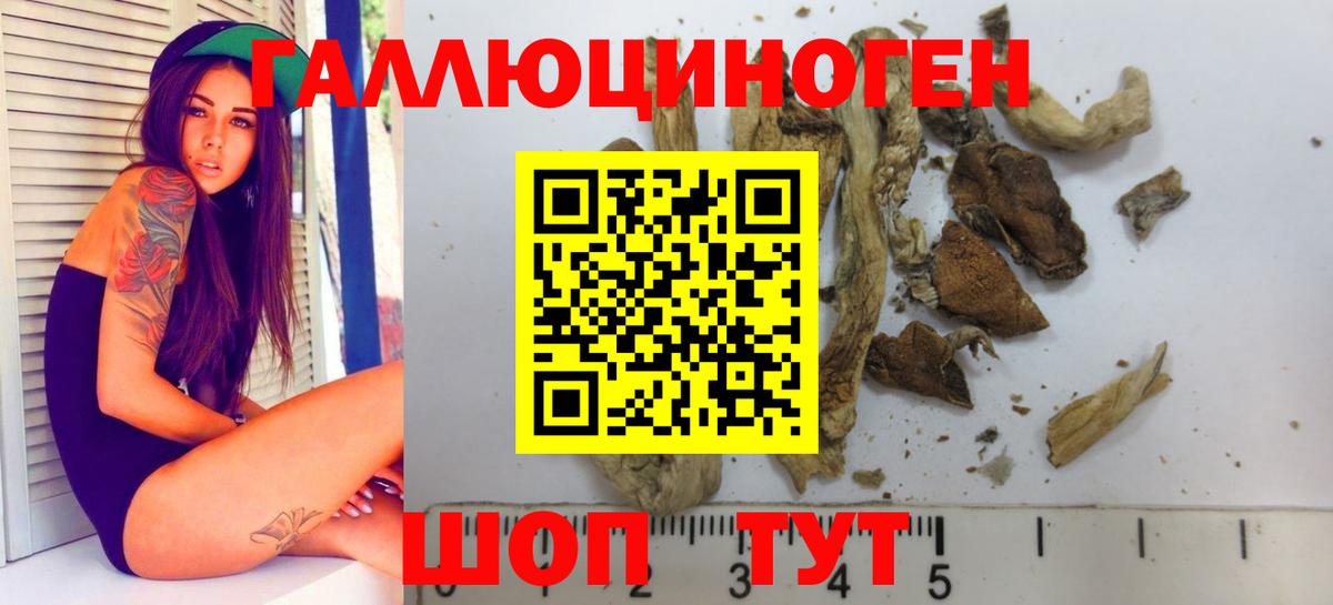 Галлюциногенные грибы Cubensis  Вход с VPN  Можайск  Псилоцибиновые грибы Psilocybe 